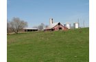 Property photo 49 - 137 Acres in 2 Tracts - 64 Tillable Acres, Potential Building Sites, Hunting